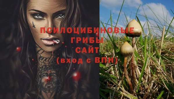 ALPHA-PVP Богородицк