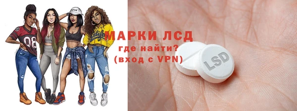 spice Богданович