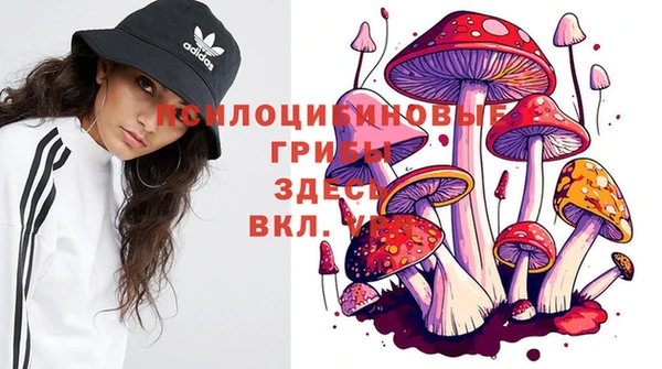PSILOCYBIN Бронницы