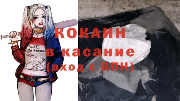 spice Богданович