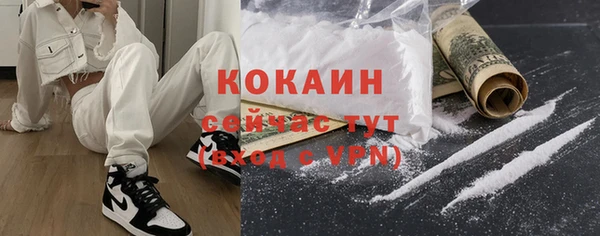 spice Богданович