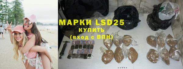 spice Богданович