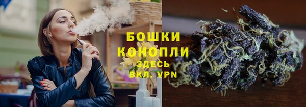 ALPHA-PVP Богородицк